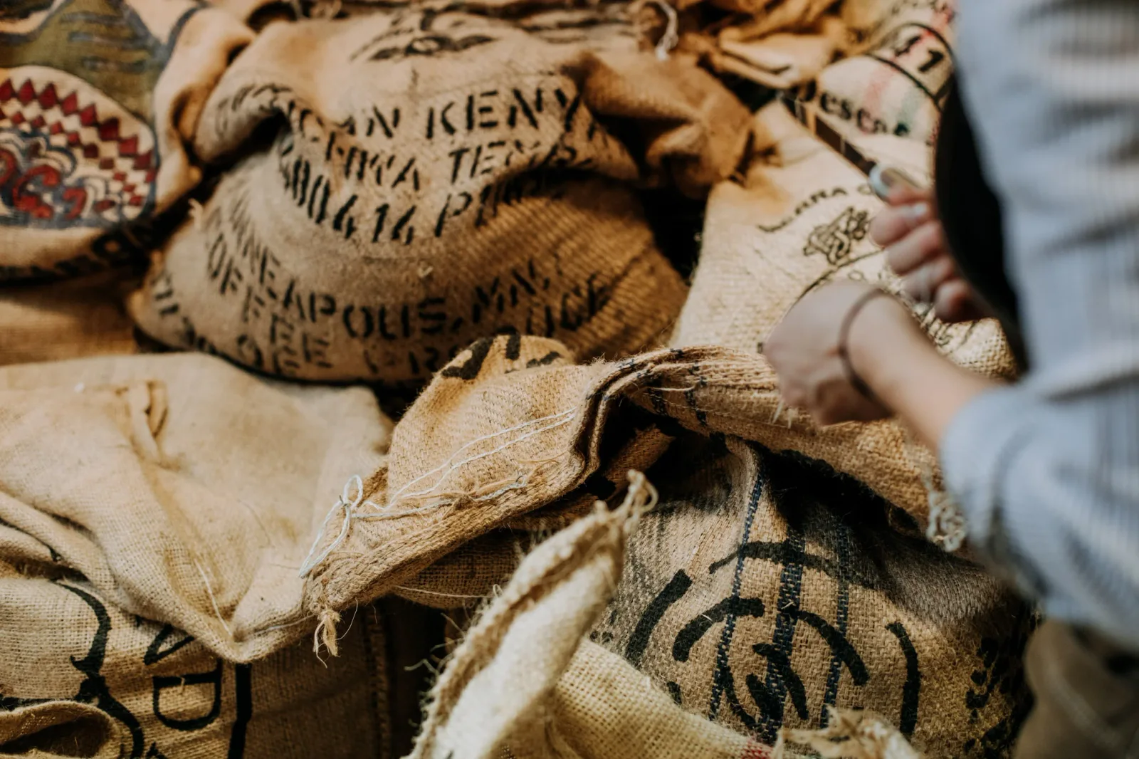 Coffee sacks at Elementary Coffee Co.
