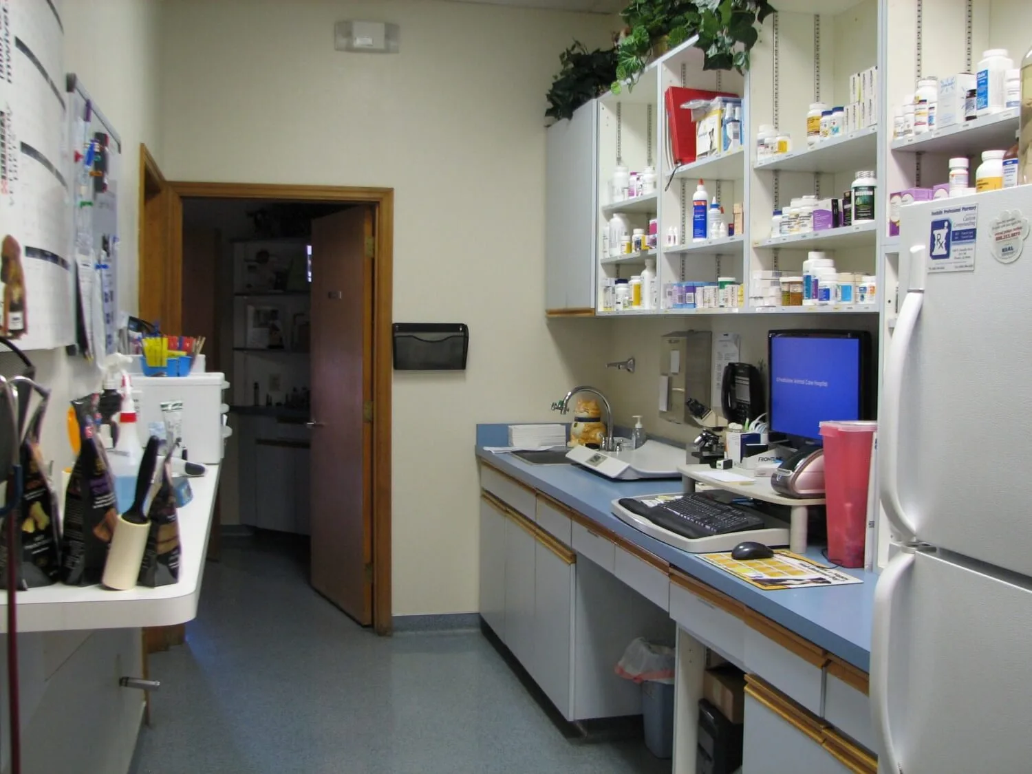 Ahwatukee Animal Care Hospital, photo 3