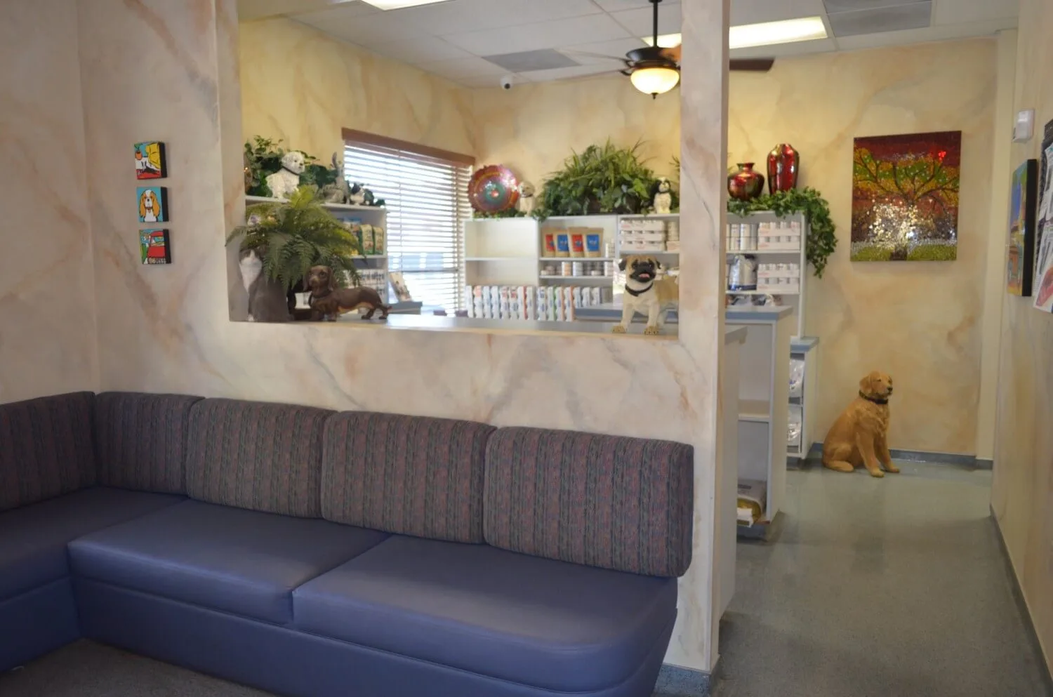 Ahwatukee Animal Care Hospital, photo 2