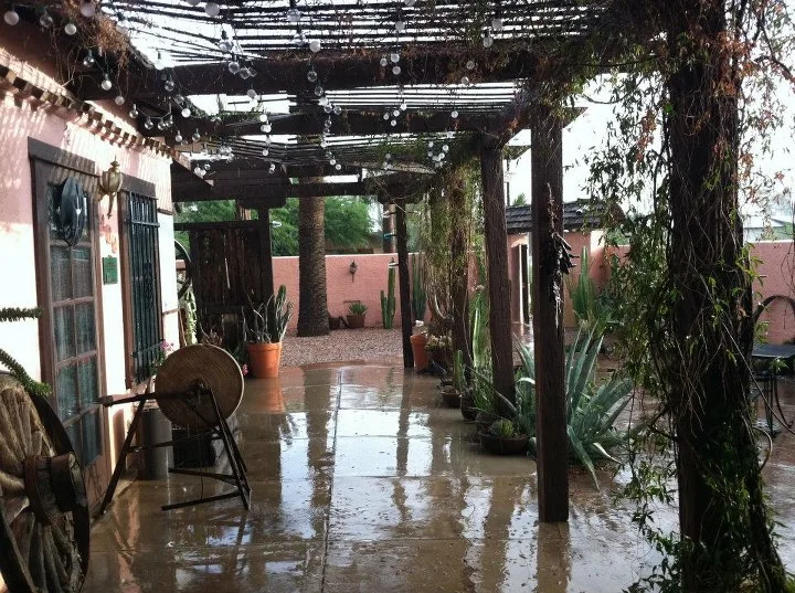 BeDillon's Cactus Garden & Restaurant, photo 2