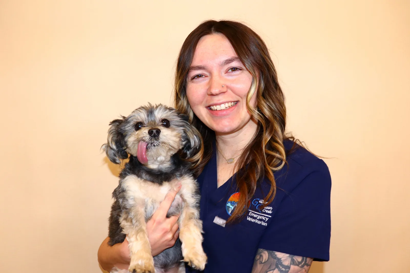 Gilbert Queen Creek Emergency Veterinarian & Specialty Center, photo 2