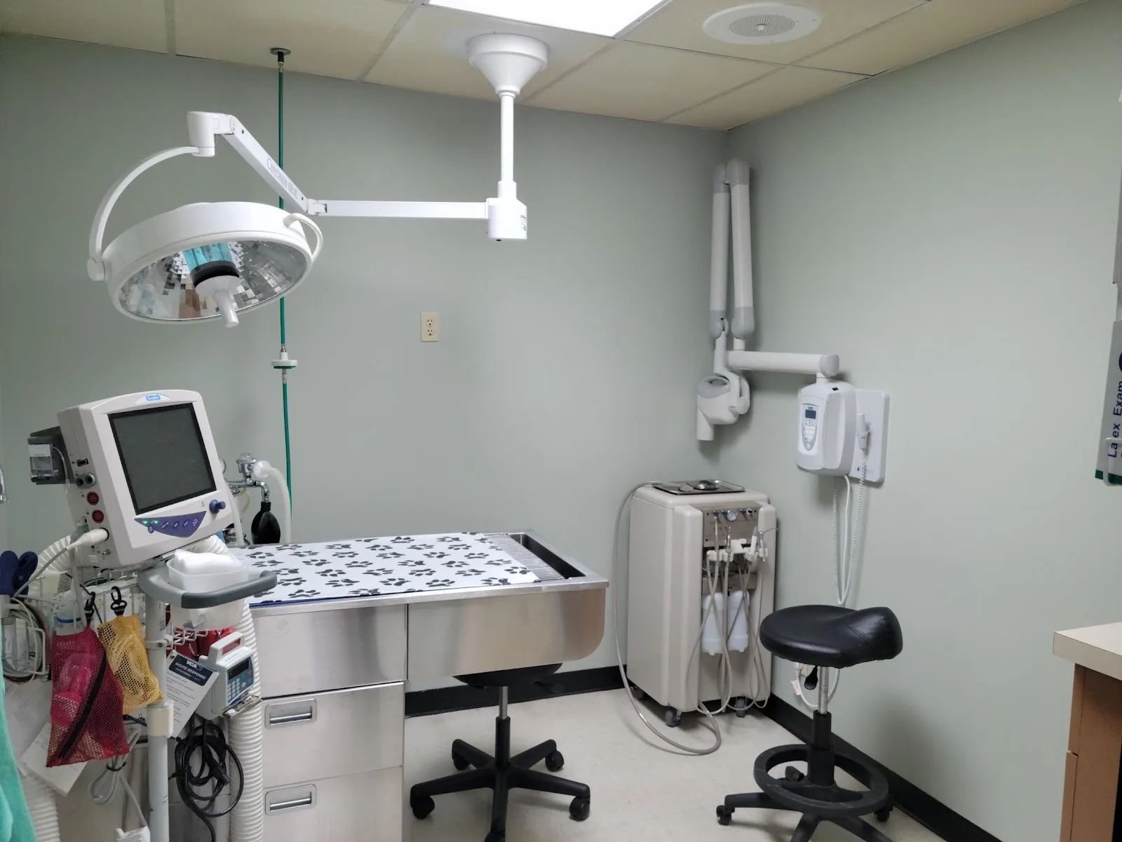 VCA El Mirage Animal Hospital, photo 3