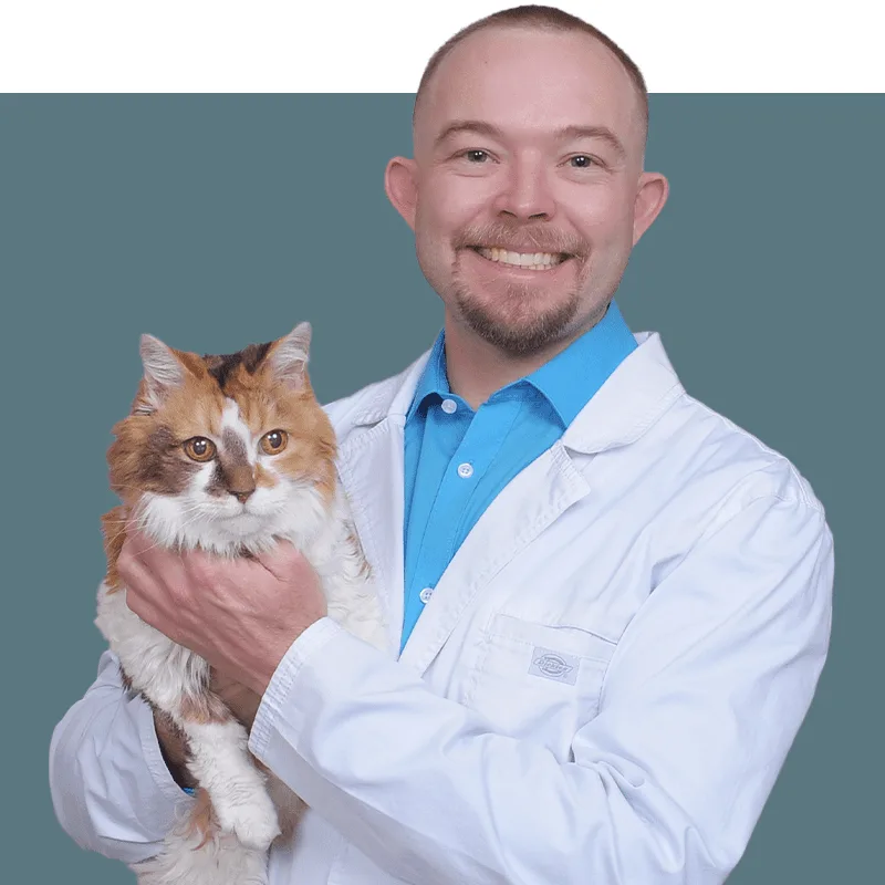 CityVet - Goodyear, photo 2