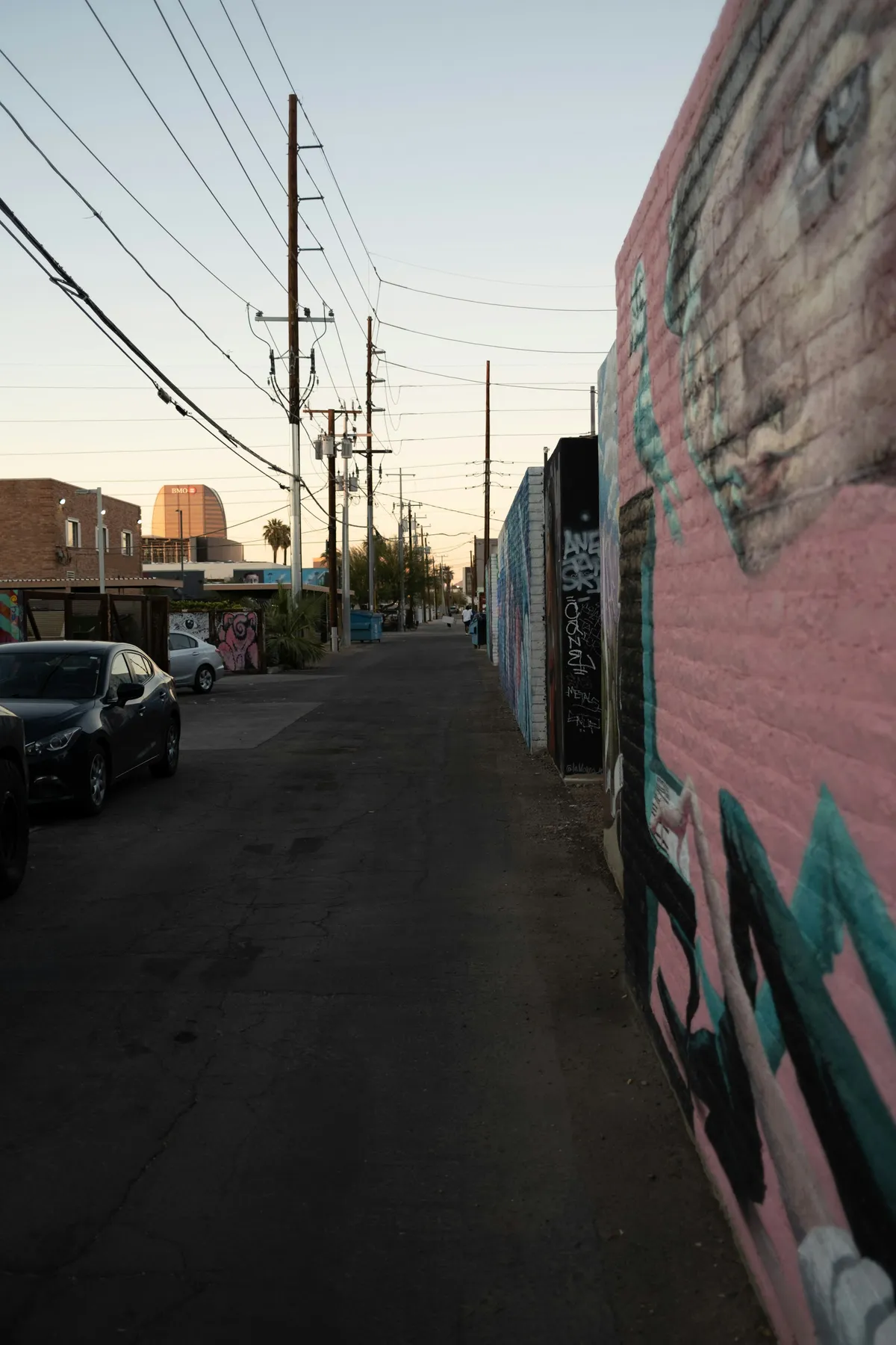 A painted cat mural on an alley wall in downtown Phoenix at dusk