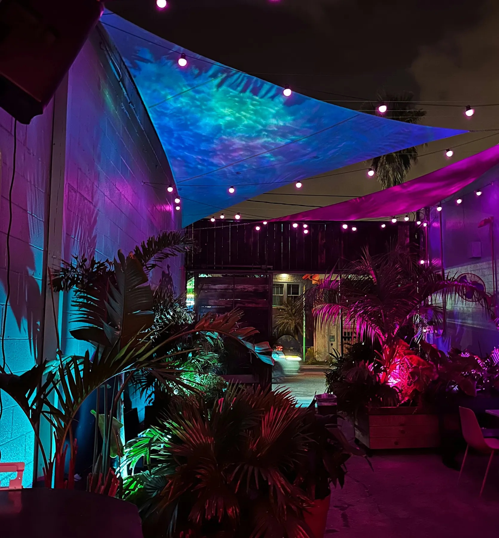 An outdoor patio at night under colored lights, with palms and string lights