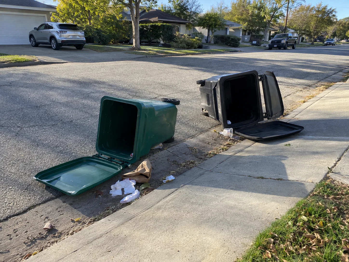 Two trash bins tipped over at the curb with litter on the sidewalk